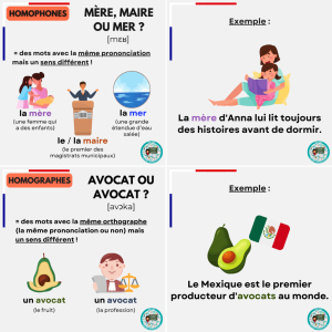 Lire la suite à propos de l’article Entre sons et sens : les homonymes expliqués 🗣️✍️